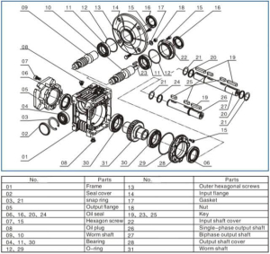 worm gear reducer design