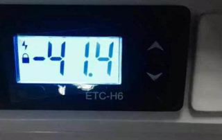 worm gearbox low temperature